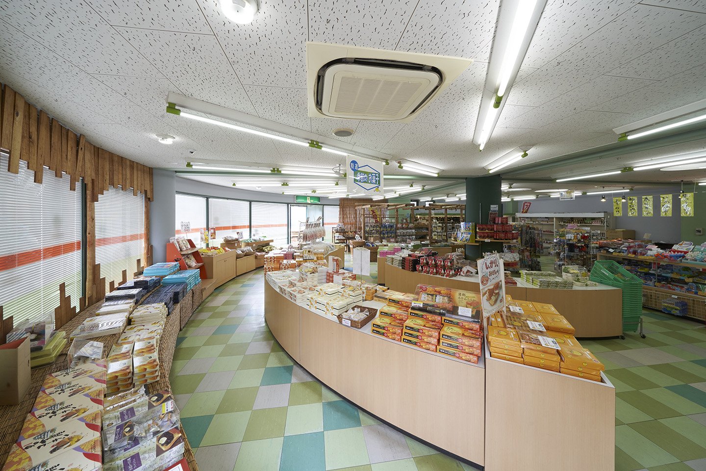 🍊 가마고리 오렌지 파크 이미지 4